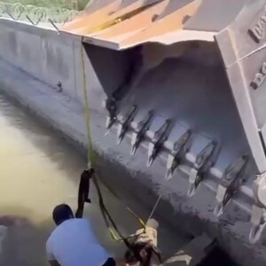 igdirda dana kanaldan kepceyle kurtarildi pHDph1n3