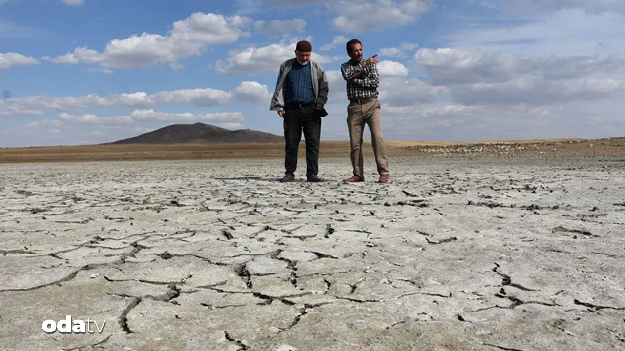 gozlerden kacan tehlike son kurban sarigol odatv arastirdi ni4LUYlb