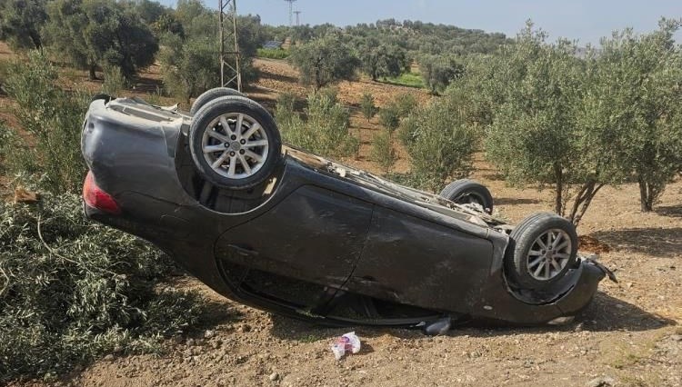 hatayda otomobil zeytin bahcesine uctu GmHRwman