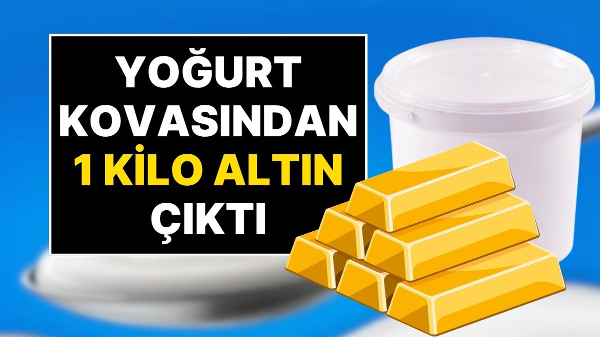 5 kiloluk yogurtlarin icinden 1 kilo 241 gram altin cikti 7w6ZJdRY.jpg