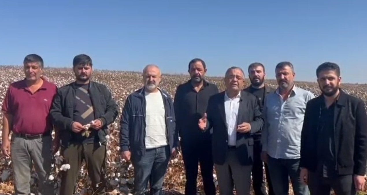 chpli tanrikulu destek verilmezse pamuk uretimi sifira dusecek k3n4ZeKv.jpg