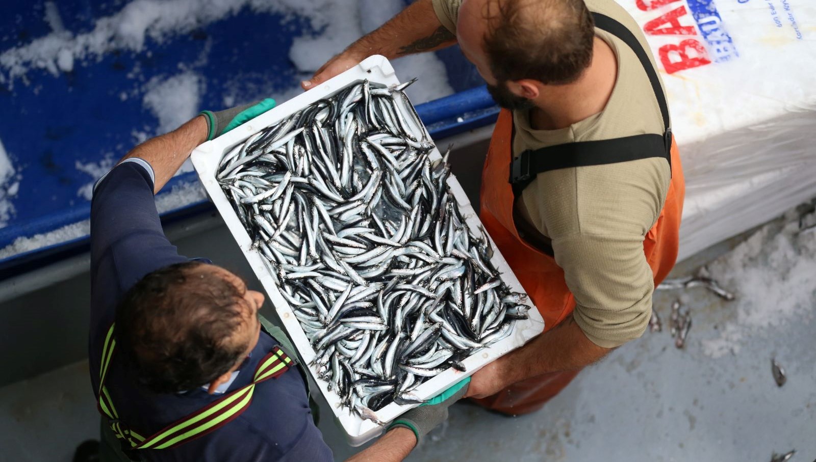 sinopta balikci tezgahlari hamsiyle doldu FwCv3i7T