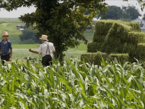 ABD’de Tarım Dışı Verimliliğin Yüzde 1,8 Arttığı Açıklandı