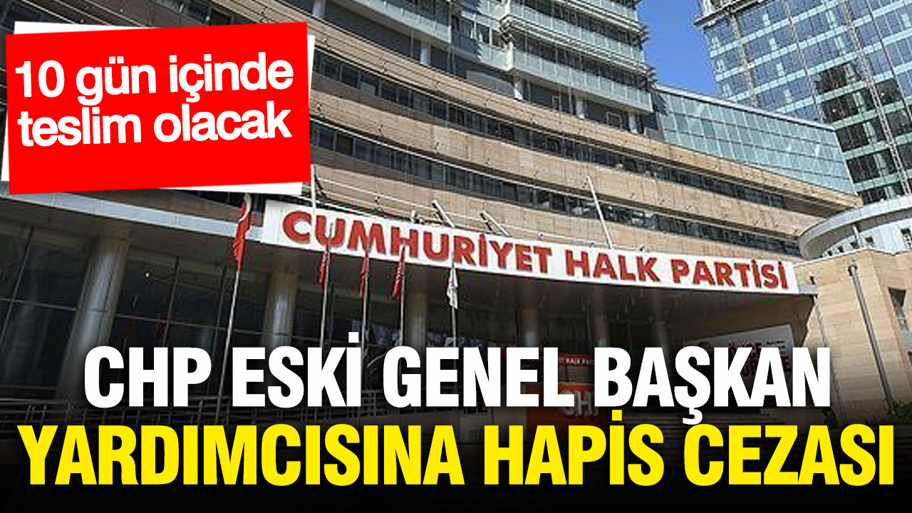 Eren Erdem, Cumhurbaşkanına Hakaretten Hapis Cezasına Çarptırıldı