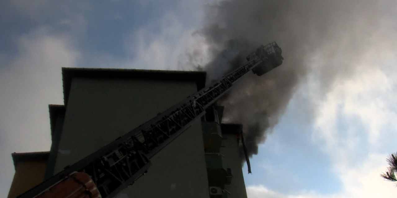 Yangında Mahsur Kalan Engelli Köpek İçin Kurtarma Çalışmaları Başlatıldı